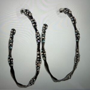 Alexis Bittar Crystal Hoop Earrings